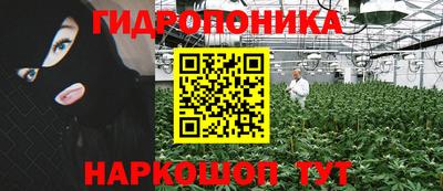 стаф Пенза