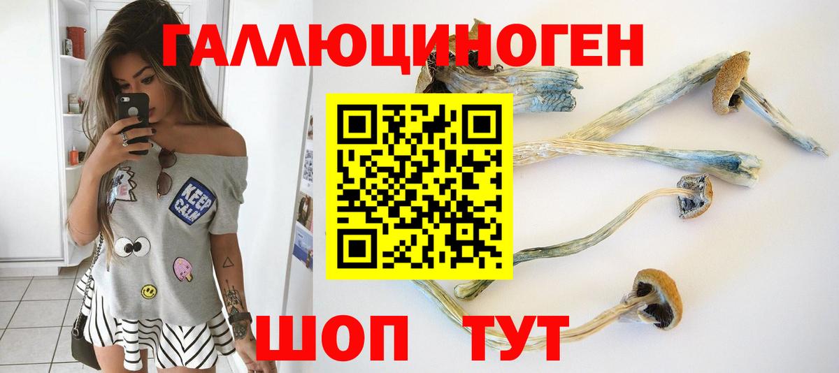 Псилоцибиновые грибы прущие грибы  Галлюциногенные грибы Psilocybine cubensis  Вход с VPN  Пугачёв 