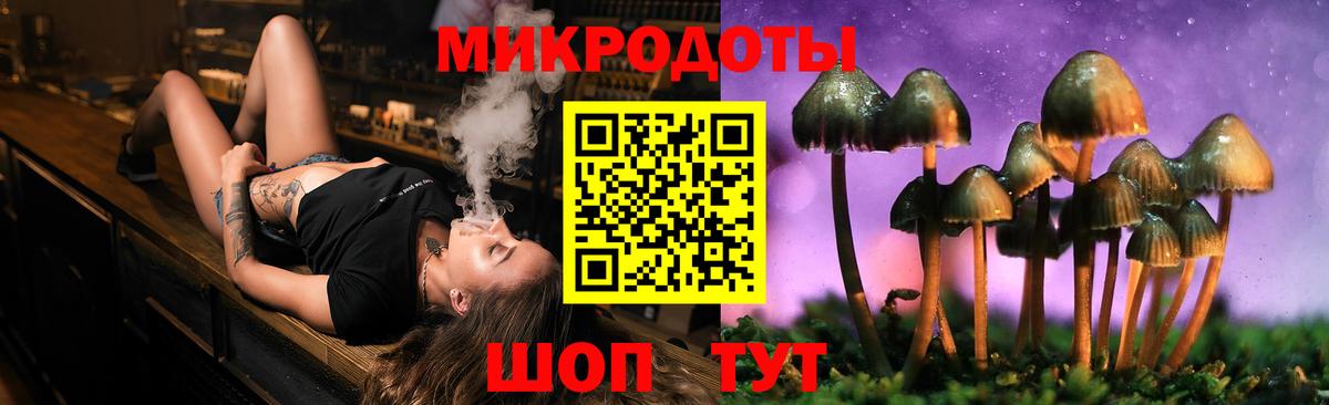Галлюциногенные грибы Psilocybine cubensis Пугачёв